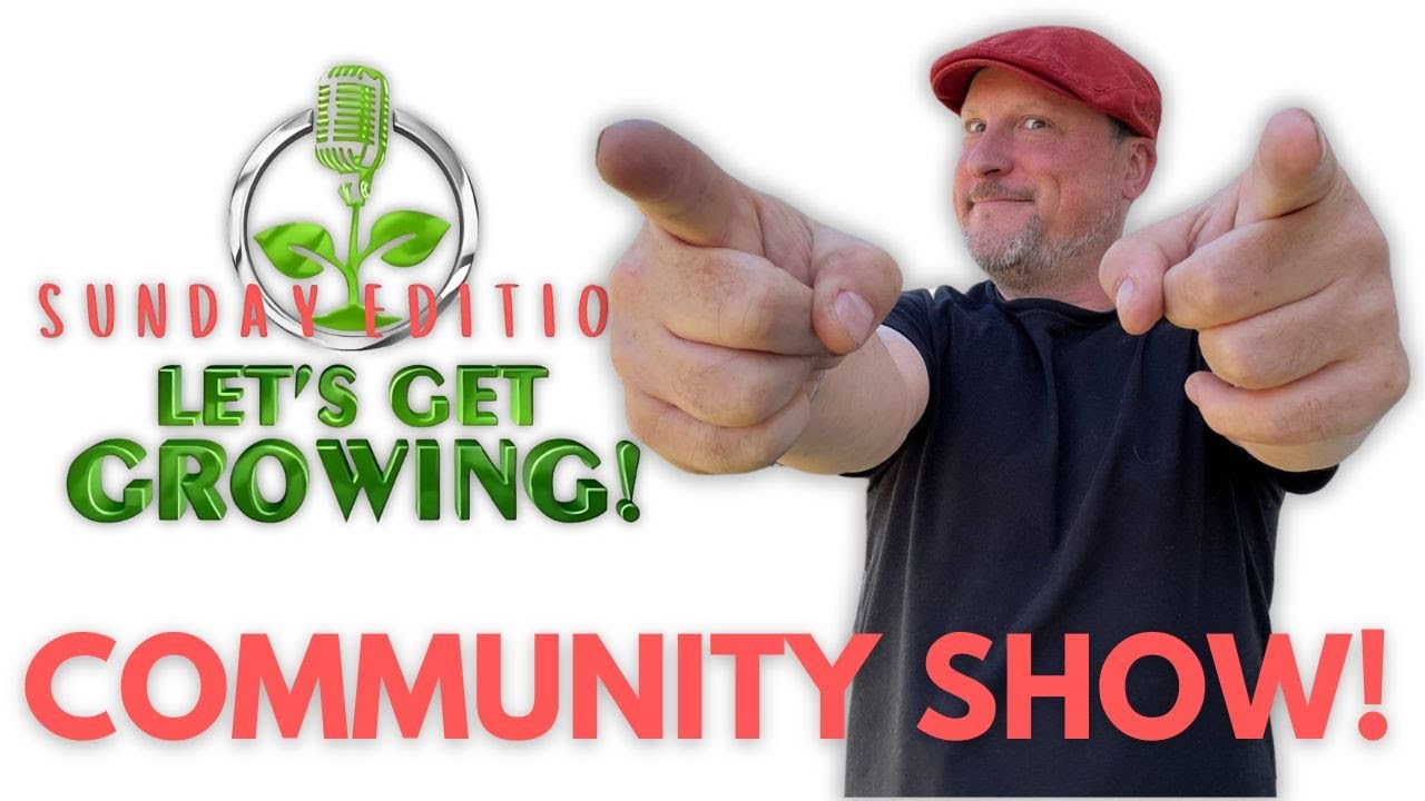 You Are the Guest! | Join us for a COMMUNITY SHOW!