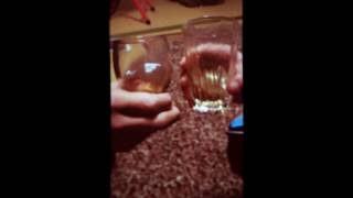 ジンジャーエール3