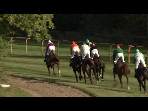 4. dostih - Steeplechase cross country Pro-Doma - dostihy Lysá nad Labem 28. 9. 2021