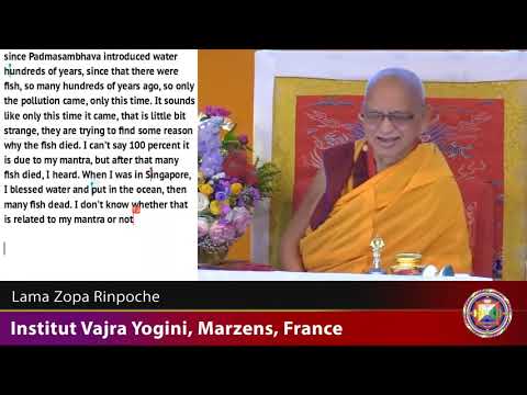 20190529 2030 LZR IVY FRANCE - How to die. Use problems on the path. Shortcomings of self-cherishing