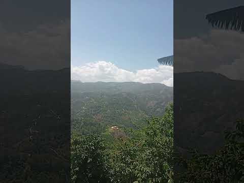 palestina Huila Colombia 🇨🇴🫶