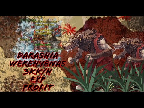 Tibia 2021 -  EK Darashia Werehyaena Lair. Knight Level Req 200+ South Spawn. EXP/ 600K PROFIT.