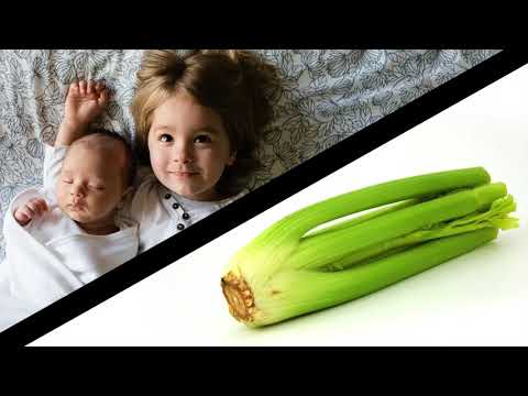 Selleriesaft(menge) für Kinder