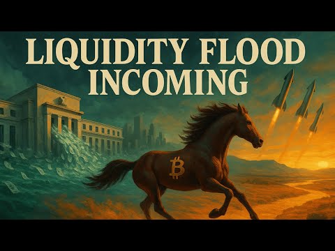Liquidity Flood Incoming: Bitcoin’s About to Explode