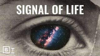 Are we the first civilization in the Milky Way? | David Kipping