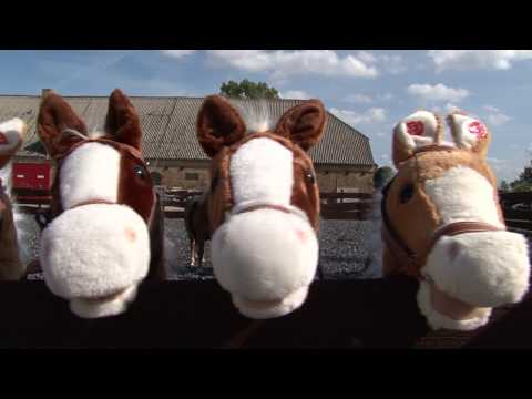 Haflingerzucht Ummanz, Minister Backhaus zu Besuch