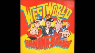 Westworld - Sonic Boom Boy (US Remix)