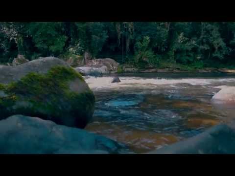 Natureza em movimento.