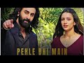 Pehle Bhi Main (Repeat) | Vishal Mishra | Animal