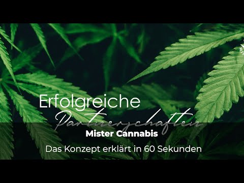 Eigenen Store für CBD-Produkte eröffnen – Franchise mit MISTER CANNABIS in 60 Sek.