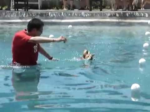 (夏日運動會) 愛將第一次下水!(原發表者:Otaku&比魯家)(影片)