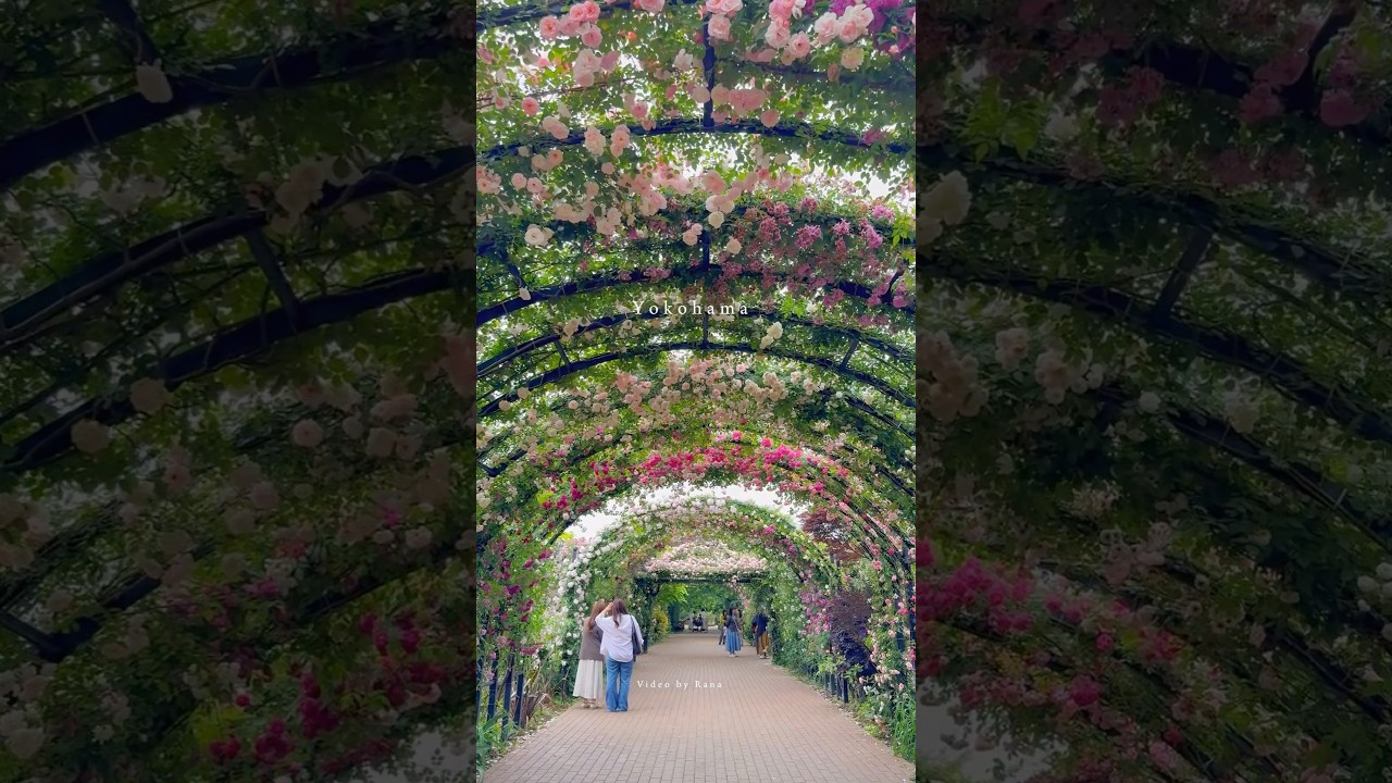 YouTube Short thumbnail