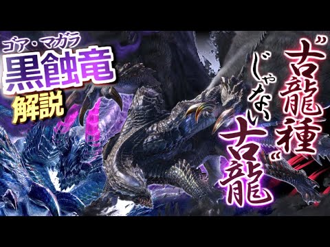 アオウミガメ (Pipistrellus pipistrellus)