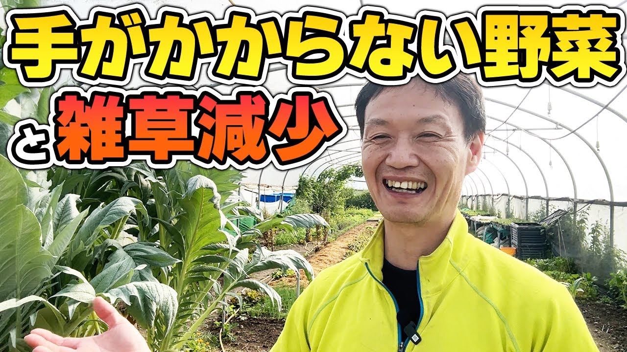 ほったらかしで育つ野菜と自然農法で雑草が減っていく仕組み