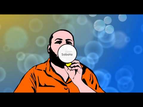 DH v DH Luděk Sobota