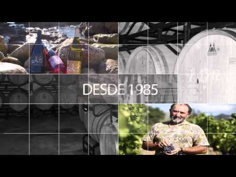 Vins Miquel Gelabert - Vinos de elaboración propia en Manacor (Mallorca)