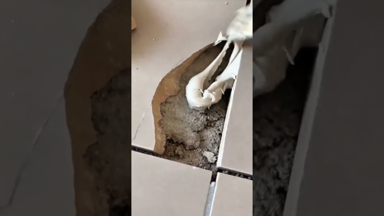 Fixing Broken Floor Tile With Fresh Cement Adhesive