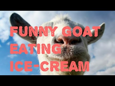 , title : 'Funny goat'