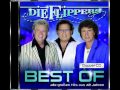 Die Flippers - Verlorene herzen