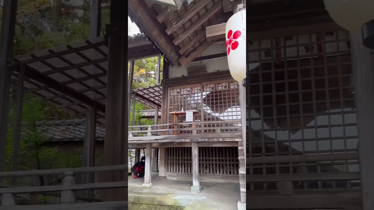 YouTube Short thumbnail