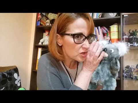 Il futuro con WILL e TO BE GOING TO spiegato da Sidney ( basic intermediate)