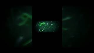 【WIIU】フレンド募集