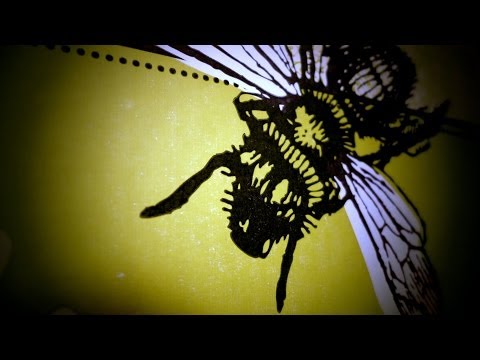 download lagu mp3 mp4 Avenir Abeilles, download lagu Avenir Abeilles gratis, unduh video klip Avenir Abeilles