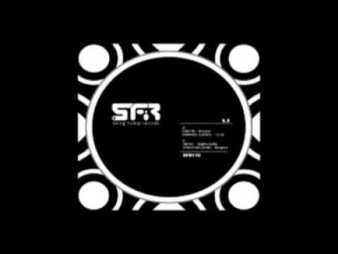SFR110 - Sebastian Zond - Respect (Original Mix)