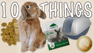 10 Things My Rabbit Can't Live Without