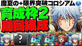 【水属性】魔夏の+限界突破コロシアムを4分台&育成枠2で周回！+891を作ろう！これ見ればOK!【パズドラ】