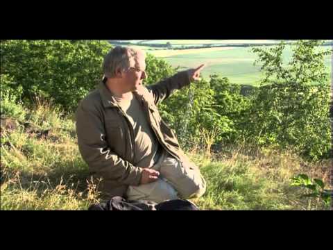 CTN Magicke hory Bin 19