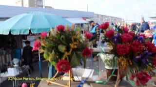 preview picture of video 'Цветы на Восьмое Марта в Киеве, Украина 08.03.2015'