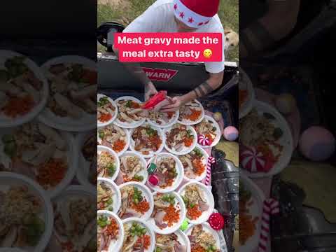 Man cooks lavish meal for street dogs in Thailand for Christmas. Santa is real,