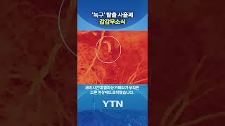 늑구야 어디 있니 #shorts / YTN