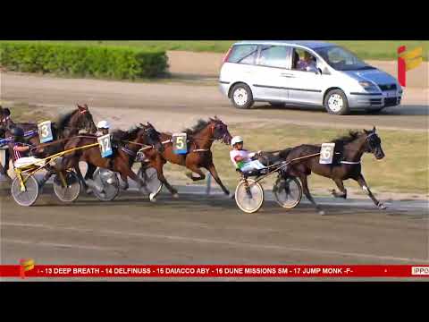 IV Corsa del 28 Giugno 2023 - 4 Anni - Metri 2000