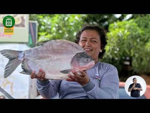 Projeto VG Santo Peixe encerra com balanço positivo e aquecimento da economia local em Várzea Grande