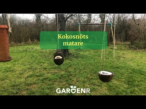 Kokosnötsmatare - Trädgårdshacks med GardenR
