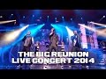 A1 - TAKE ON ME (THE BIG REUNION LIVE CONCERT 2014)