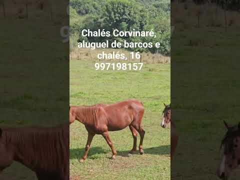 Chalés Corvinaré, aluguel de barcos e chalés, 16 997198157, cidade Itaju, interior de São Paulo.