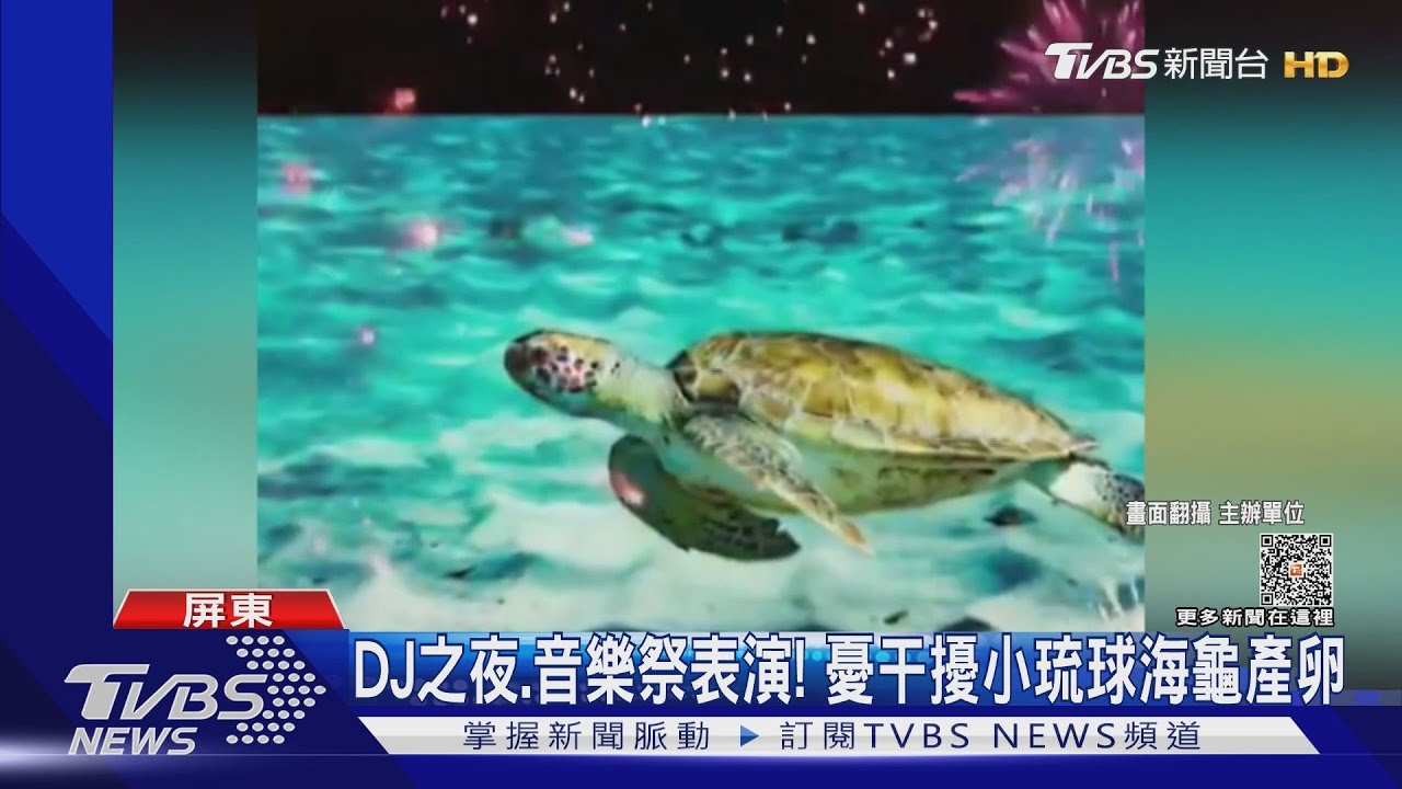 小琉球音樂祭撞期「海龜產卵季」 鄉公所:活動前6天才收申請書