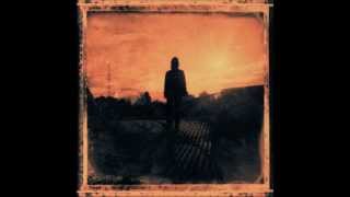 Steven Wilson- Deform To Form A Star