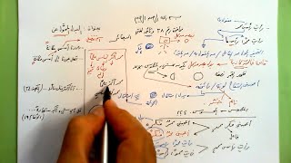 صورة 38 🔦 بصيرة البدل المحول عن