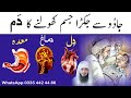 Jadu Se Jakra Huwa Jisam Kholne Ka Dam Dil Dimag Meda Ki Jakran Ruqyah Shariah Hafiz Ali Irshad