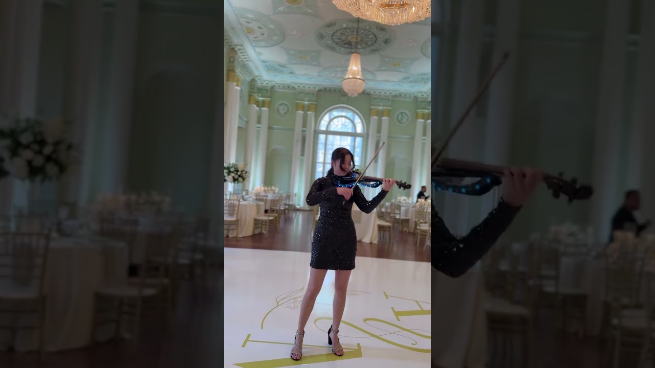 Promotional video thumbnail 3 for Megan Li Electric Violinist