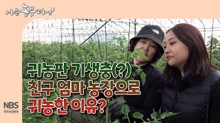 [나는농부다 295회] 귀농판 기생충(?) 친구 엄마 농장으로 귀농한 이유?