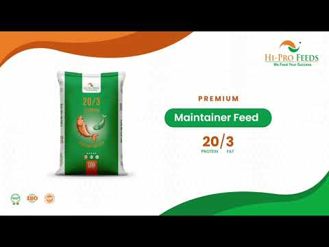 Pellet 4mm Standard Floating Fish Feed