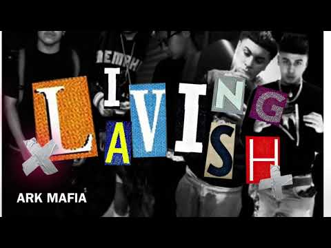 Living Lavish Feat. TMB Spazz (TRENCHMOBB) X (ARK MAFIA)