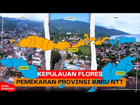 The Expansion of Flores Province, Discourse on Separation from East Nusa Tenggara