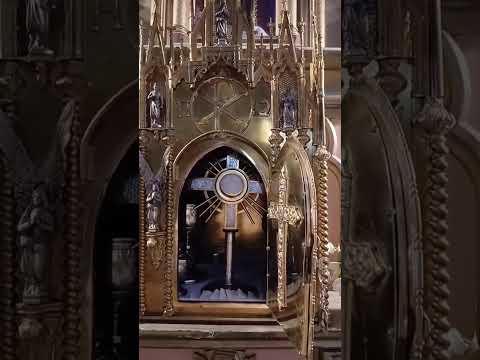 Adoración al Santísimo Sacramento del Altar con el Padre Fabian Esteban Oliva. 29/11/25