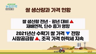 [영농길라잡이 농업관측] 12월 쌀·콩
